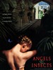 情色风暴/Angels & Insects(1995)