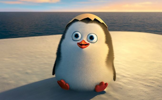 梦工场3D动画《马达加斯加的企鹅》中国11月14日上映