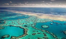 《加勒比海盗5》明年2月将在澳洲昆士兰开机拍摄