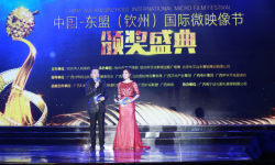 2017中国—东盟（钦州）国际微映像节完美落幕！
