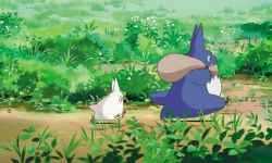 宫崎骏经典动漫《龙猫》有望引进 年底国内上映