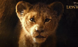 《狮子王》CG真人版预告片公布，还原度惊人，真实动人