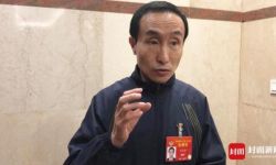 政协委员巩汉林:传播中国文化要想办法吸引年轻人