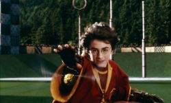 《哈利·波特与魔法石》热映，哈迷热议片中名场面 