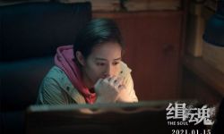 电影《缉魂》定档2021年1月15日  张钧甯哭戏让导演动容落泪