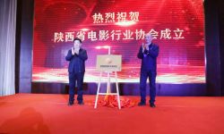 陕西省电影行业协会正式揭牌成立  赵安当选首任会长