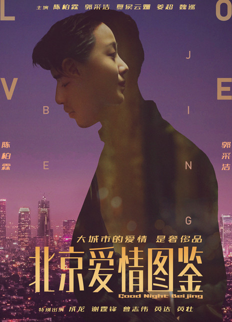 《北京爱情图鉴》海报封面