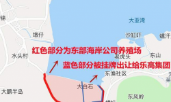 深圳大鹏 800亩土地出让给乐高集团，东部海岸公司受益有多少？