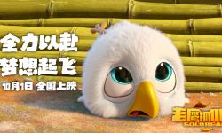 国产动画电影《老鹰抓小鸡》 定档10月1日 让国漫精致到羽翼丰满