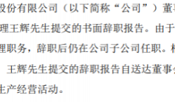 中南文化副总经理王辉辞职 2020年薪酬为96万