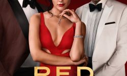 电影《红色通缉令》定档Netflix  罗森·马歇尔·瑟伯执导强森主演