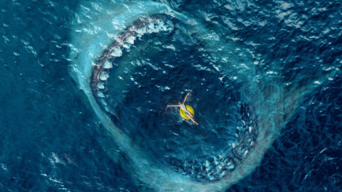 吴京加盟华纳兄弟与中国合拍电影《巨齿鲨2：海沟》