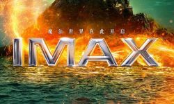 《神奇动物：邓布利多之谜》曝IMAX海报4月8日，再掀魔法热潮畅享冒险之旅