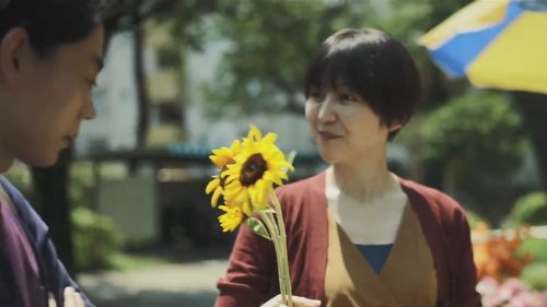菅田将晖&长泽雅美演夫妻，电影《百花》9月9日在日本上映