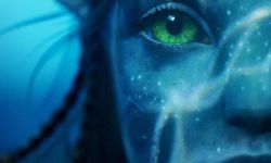 《阿凡达2：水之道》12月16日上映，大卫·休里斯等全明星主演