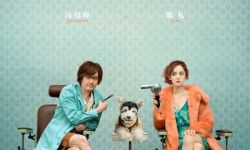《爱犬奇缘》官微发布通知宣布将延迟公映，原定于5月20日，冯绍峰、娜扎领衔主演