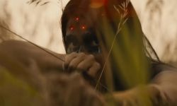 《铁血战士》系列第五部新片《铁血战士：猎物》预告片