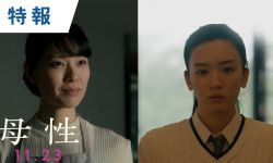 户田恵梨香&永野芽郁悬疑片《母性》扮演母女，11月23日日本上映