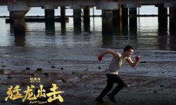 动作电影《猛龙出击》定档7月29日，成龙弟子国际拳手出演加持