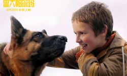 《忠犬帕尔玛》8月26日国际爱狗日全国上映 ，狗狗机场苦等主人两年