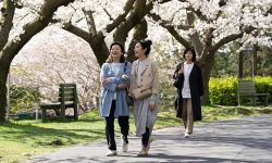 “杉菜”井上真央《我的母亲》曝预告，11月11日日本上映