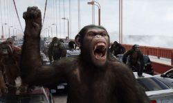 欧文·泰格将主演新版《人猿星球》， 韦斯·鲍尔执导