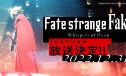 衍生小说《Fate/strange Fake》TV特别动画12月31日