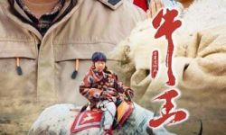 电影《牛王》入围第35届中国电影金鸡奖最佳中小成本故事片提名