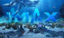 《阿凡达2》发IMAX海报，12月16日内地同步北美上映
