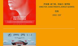 第四届海南岛国际电影节“金椰奖”入围名单揭晓