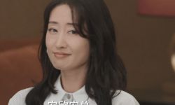 刘敏涛新剧《女士的品格》又扑街，她的演技到底行不行