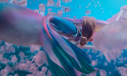 《小美人鱼》曝新预告，5月26日北美上映