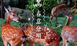 电影《封神三部曲》发布春分海报，取材于中国家喻户晓古典名著《封神演义》