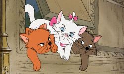 迪士尼将翻拍《猫儿历险记》 真人混搭动画拍摄，是迪士尼公司第20部长片