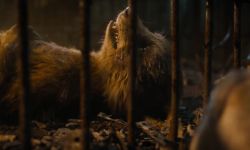 《银护3》新片段展现火箭浣熊悲惨往事，畅想未来新生活
