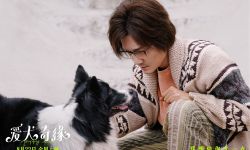 电影《爱犬奇缘》8月22日七夕上映，世界不能没有修狗！