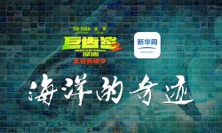 《巨齿鲨2:深渊》曝特别视频，中国元素舒适又亲切斯