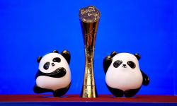 首届金熊猫奖电影单元提名名单揭晓， 共9项大奖