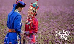 电影《马背上的婚礼》定档10月27日， 聚焦草原文化传承民族文化