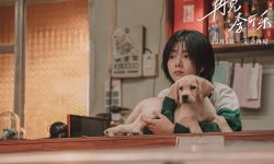 《再见，李可乐》12月1日全国上映， 闫妮谭松韵首次与动物演员合作 
