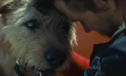 马克沃尔伯格刘思慕《冠军亚瑟》明年2月22日北美上映，讲述流浪狗和人类完成耐力赛的故事