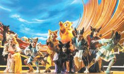 歌舞剧《猫神在故宫》在中国儿童剧场首演，中国的猫，大小观众都爱看