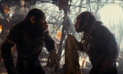 《猩球崛起4：新世界》5月24日北美上映，人猿踏上未知旅途